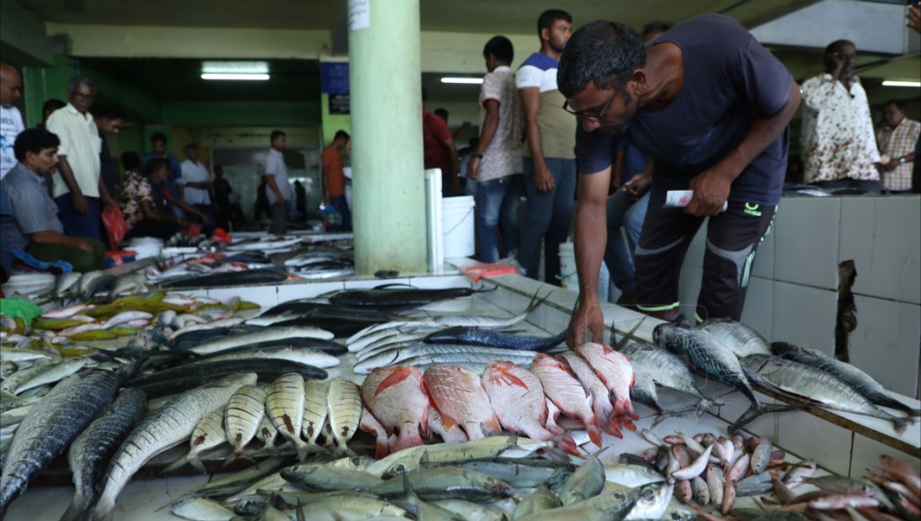 Maldives local fish market