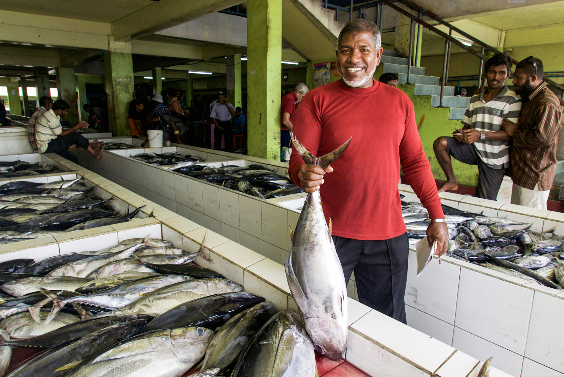 Maldives tuna catch